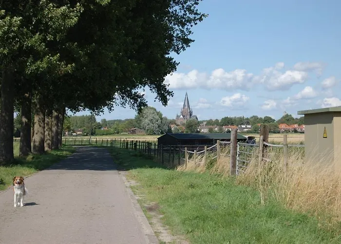 Bar-bistro-hotel Dok Otel Steenbergen (North Brabant)