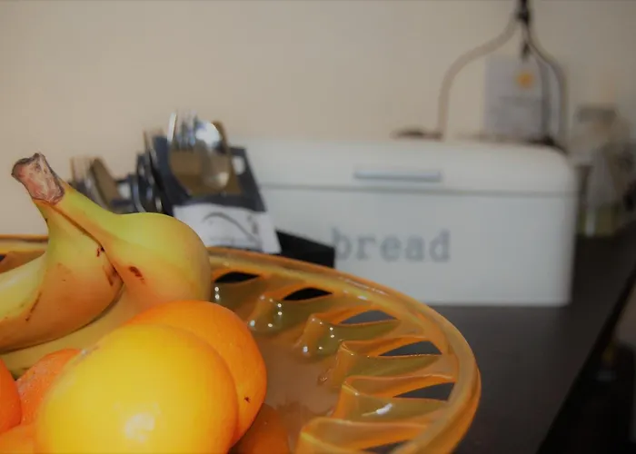 Bar-bistro-hotel Dok Otel